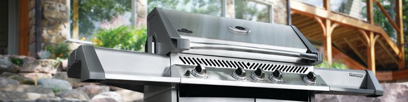 Napoleon Grill