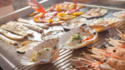 Kochen und Grillen mit dem Plancha Grill