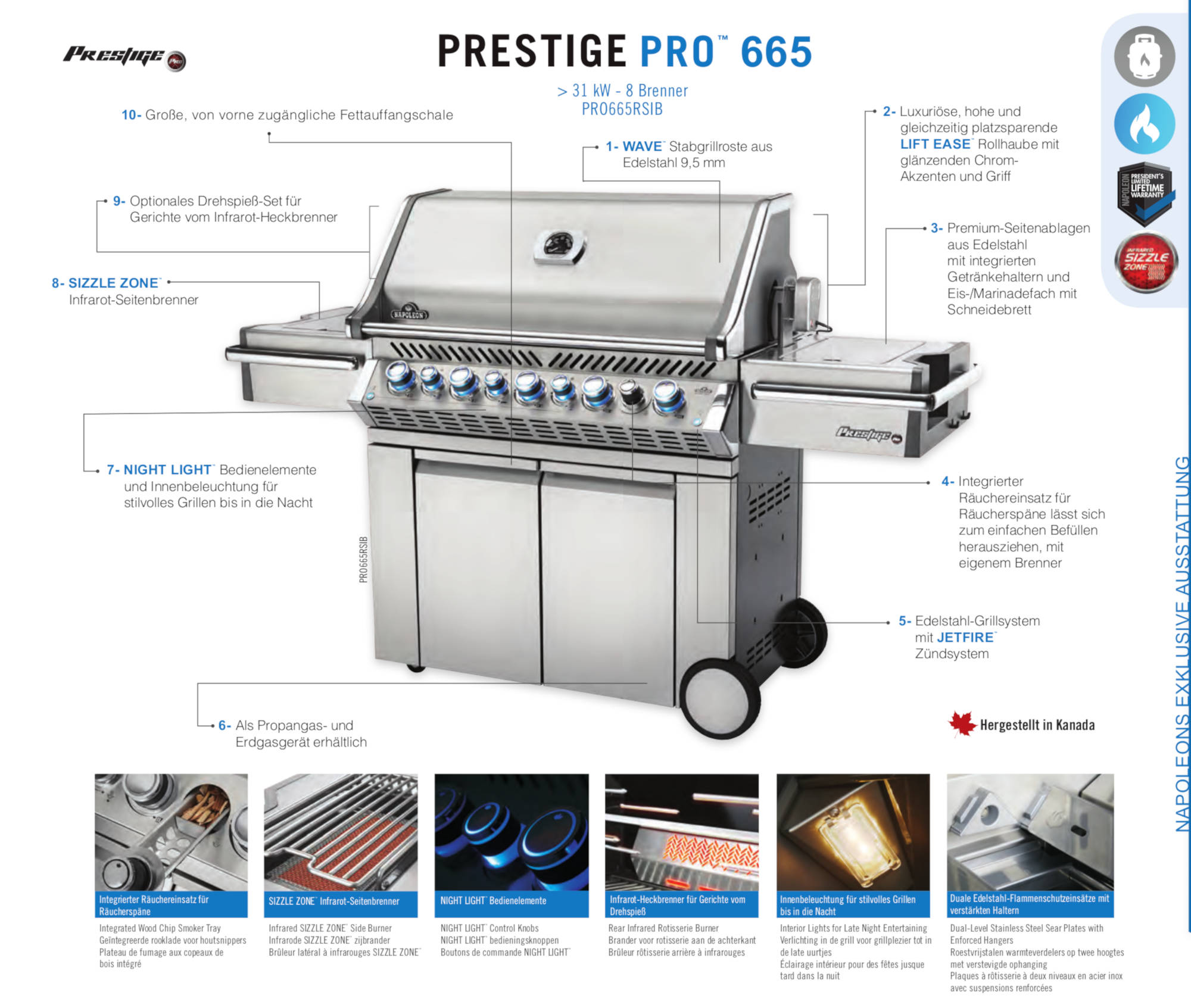 Napoleon Einbaugrill