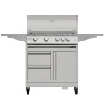 Edelstahl Gasgrill fyre X