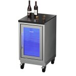 Mobiler Kühlschrank für Pool und Garten